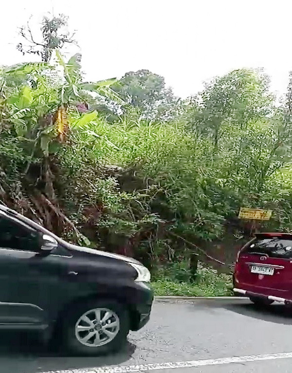 Tanah Dijual Luas 2750 m2 di Patuk Gunung Kidul Yogyakarta Dekat Wisata Gunung Api Purba, Taman Bunga Amarilis, Bukit Bintang, HeHa Sky View